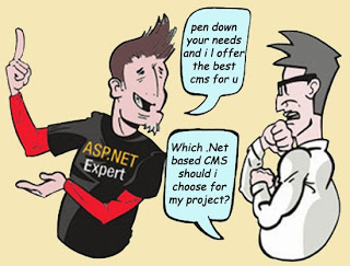 Hire ASP.Net CMS Developer